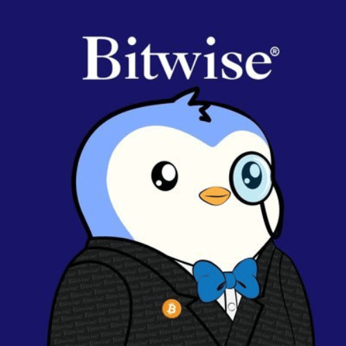 %s logoBitwise