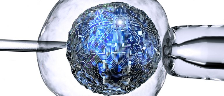 New Research Turns Mammalian Cells Into Biocomputers
