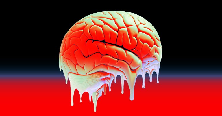 After a relentless Wikipedia vandal filled the "brain rot" page with brain rot, it's protected until next year.