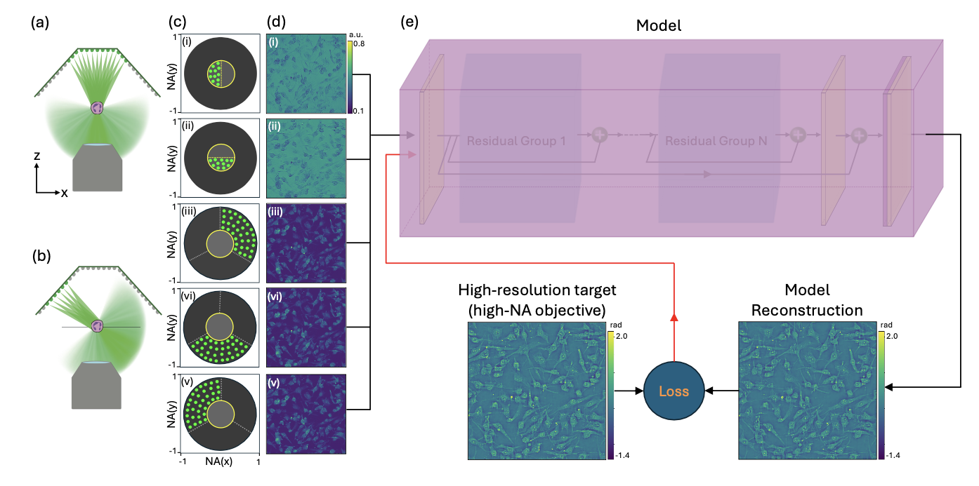 Neural network DPC microscopy